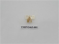 藏品(波紋斑苔蛾)的圖片